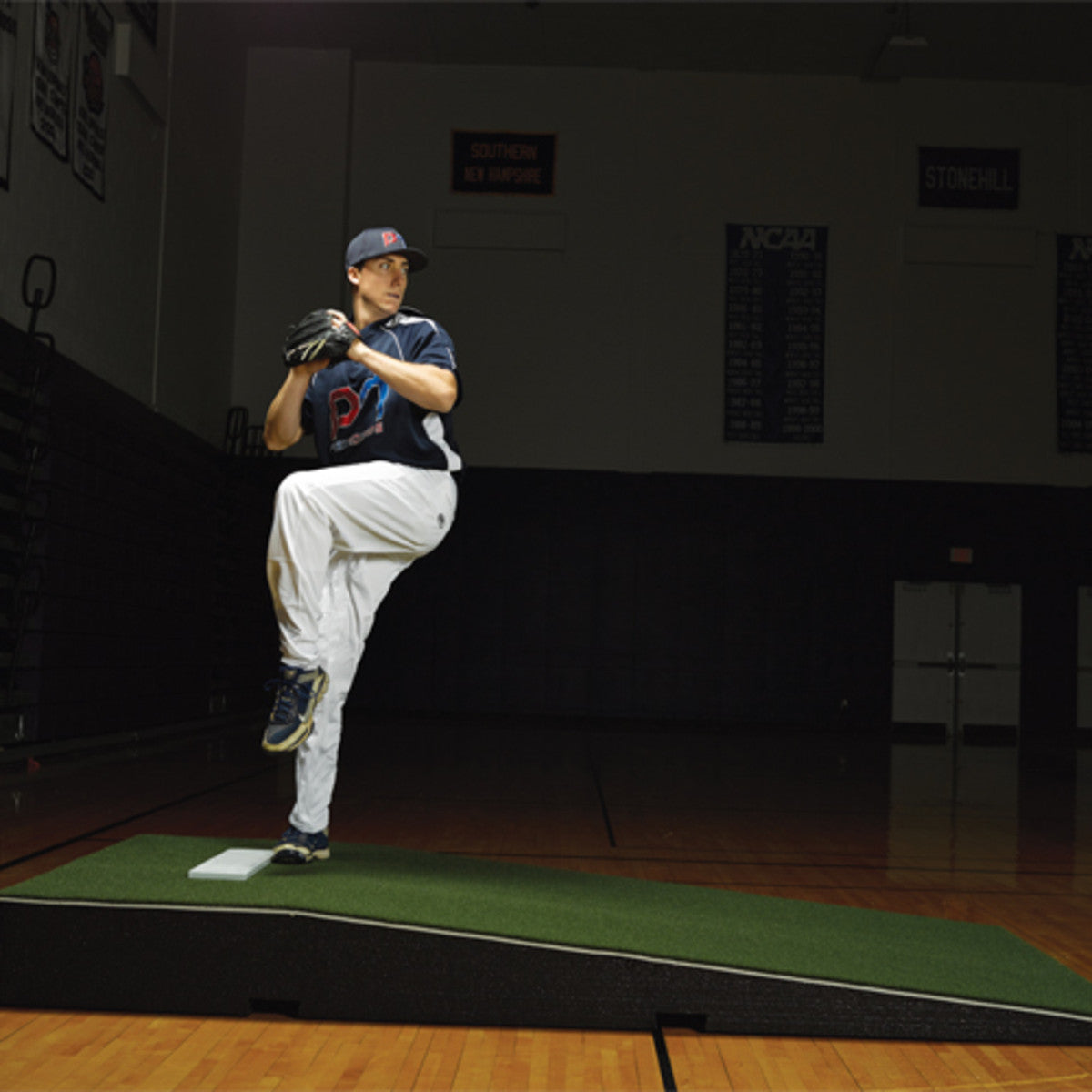 ProMounds ProModel Pitching Mound With Green Turf