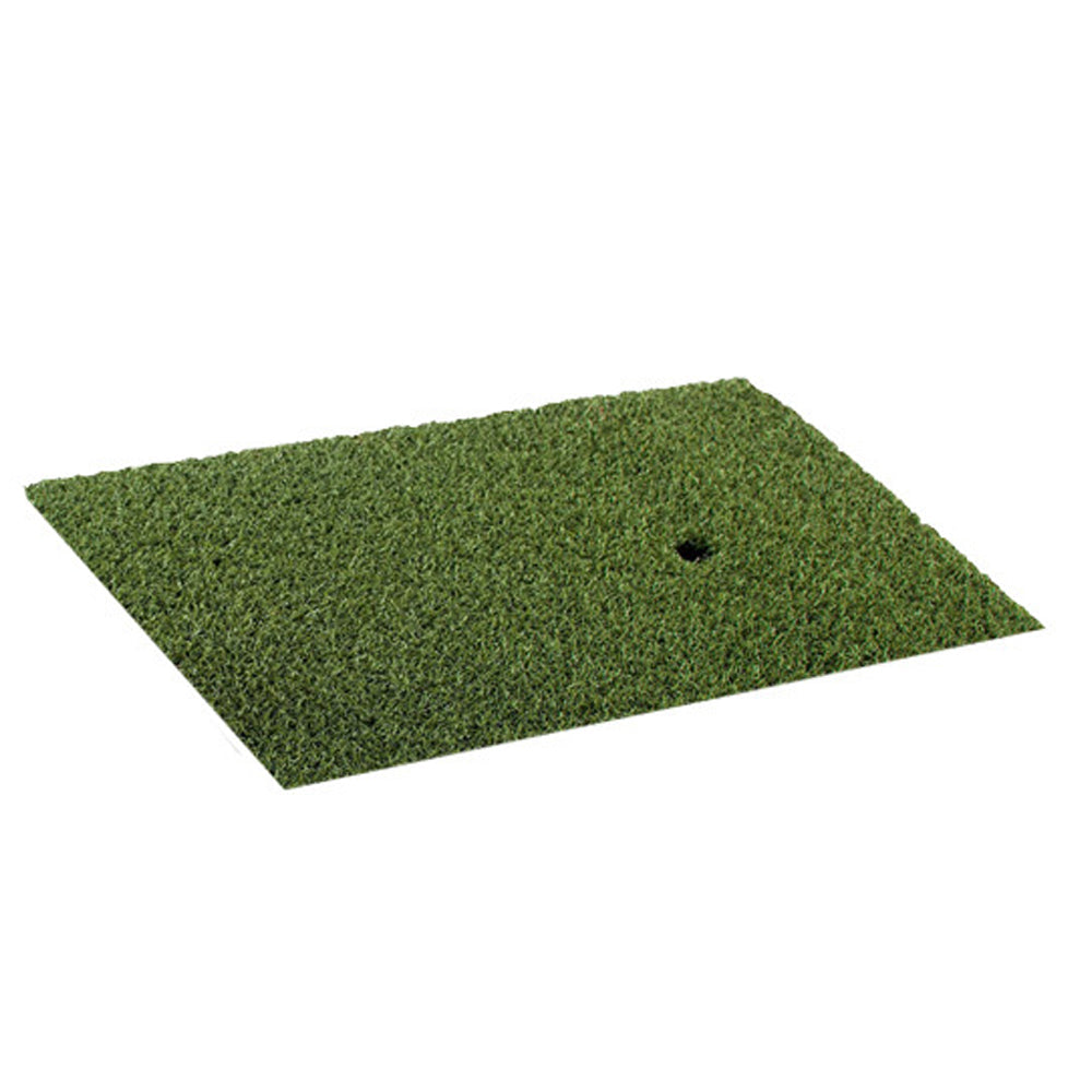Dynamax Golf Practice Turf (1' x 2') w/ Two Tees
