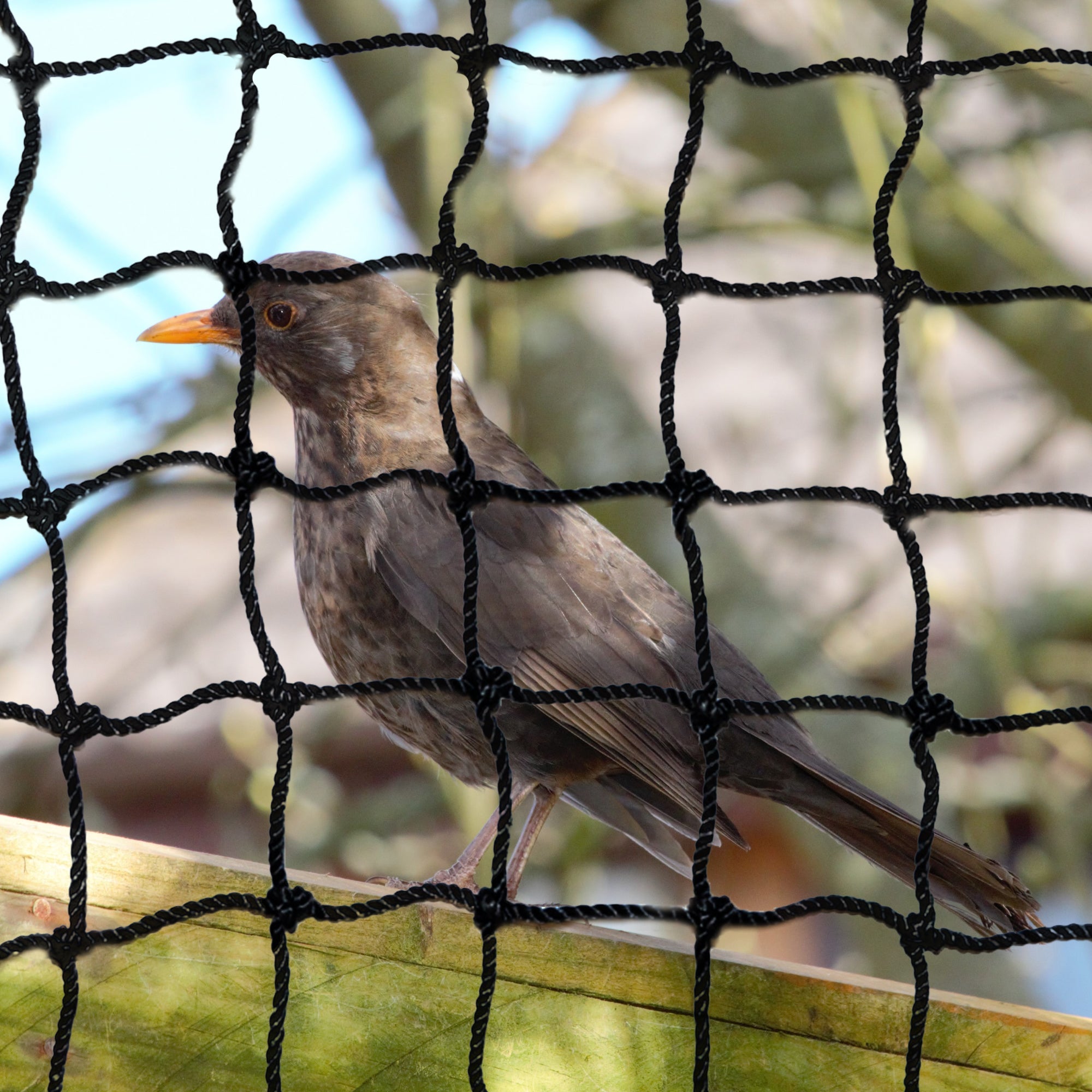 Heavy Duty Polyethylene Bigger Bird UV Netting 1-7/8" square mesh , Custom Size