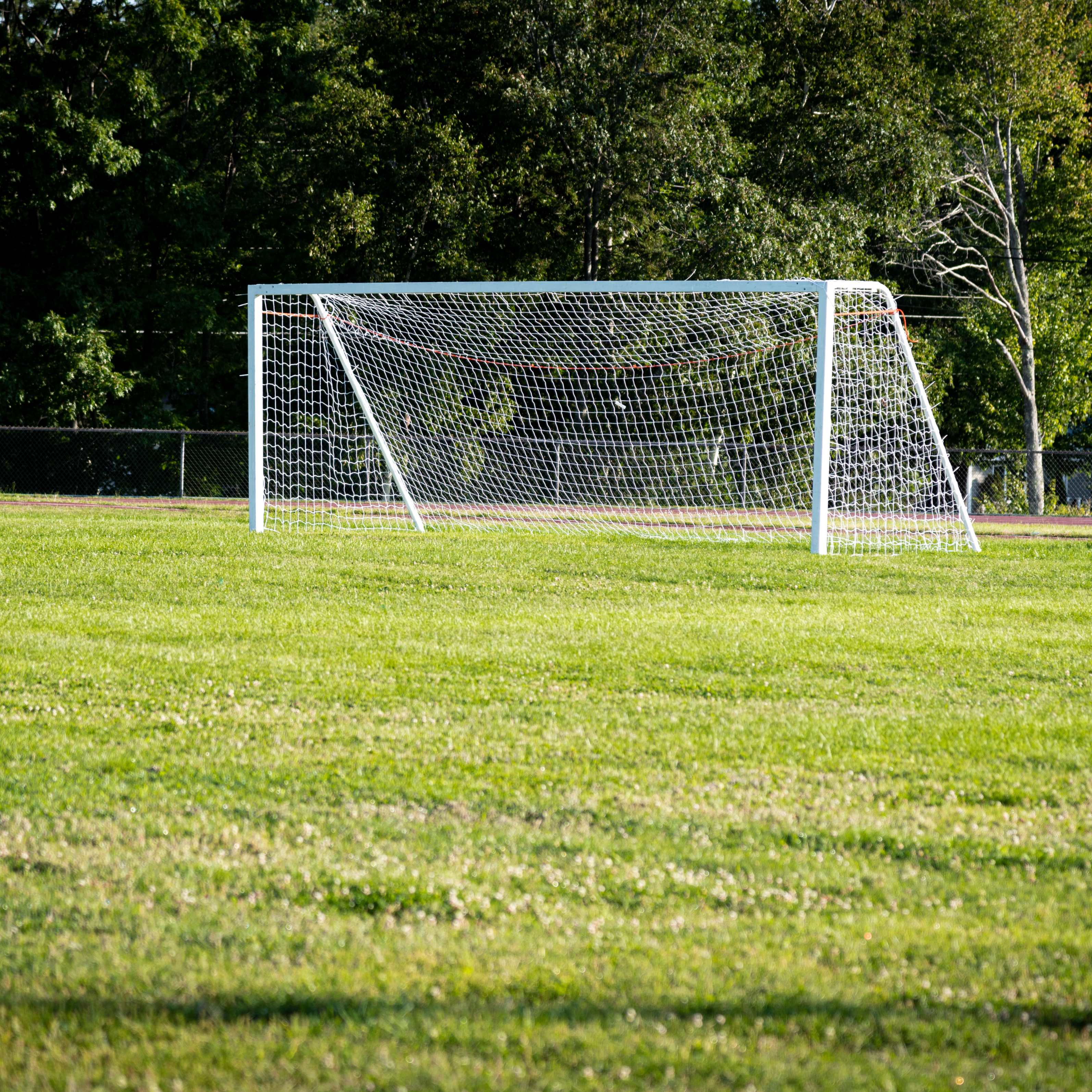 Dynamax Sports Tournament Soccer Goal Net, 8'h x 24'w x 4'T x 8'D, Each